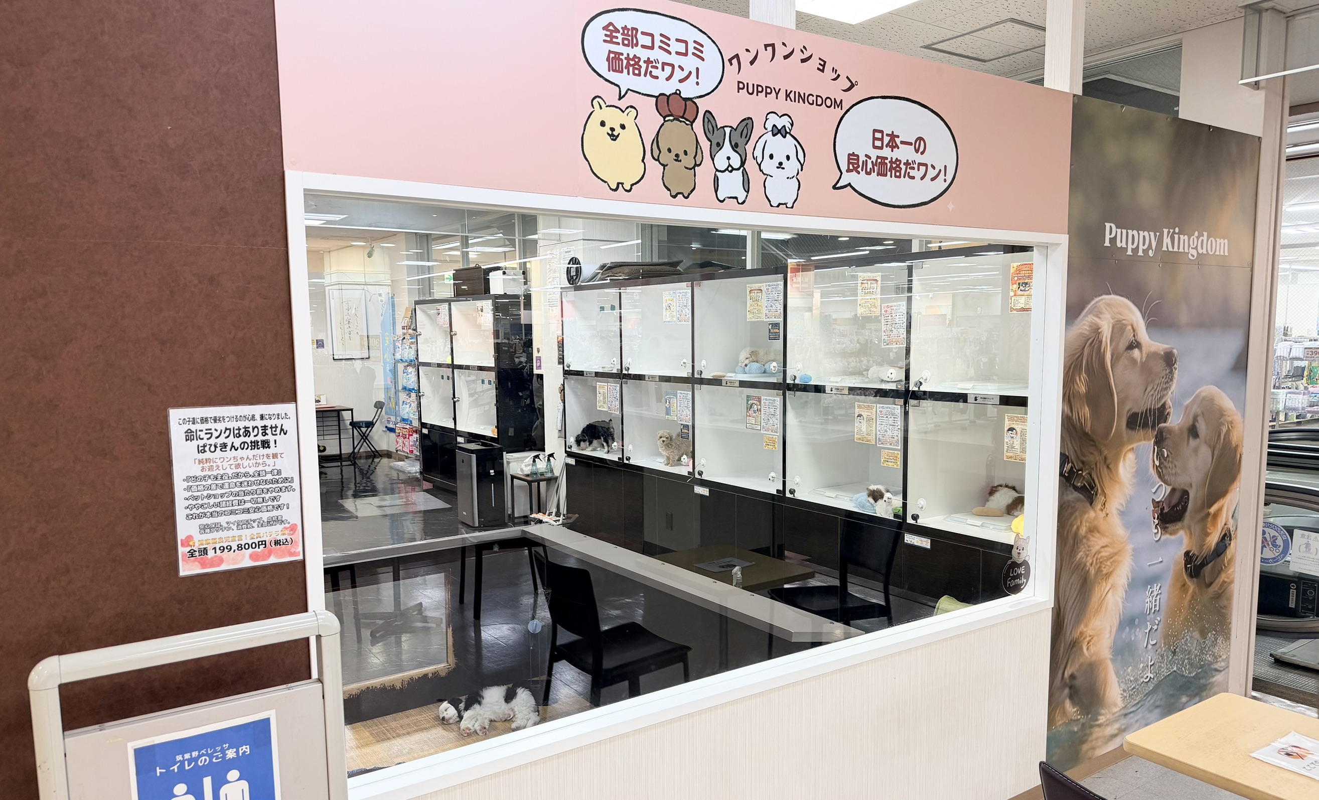 筑紫野ベレッサ2Fエリアの店内の様子