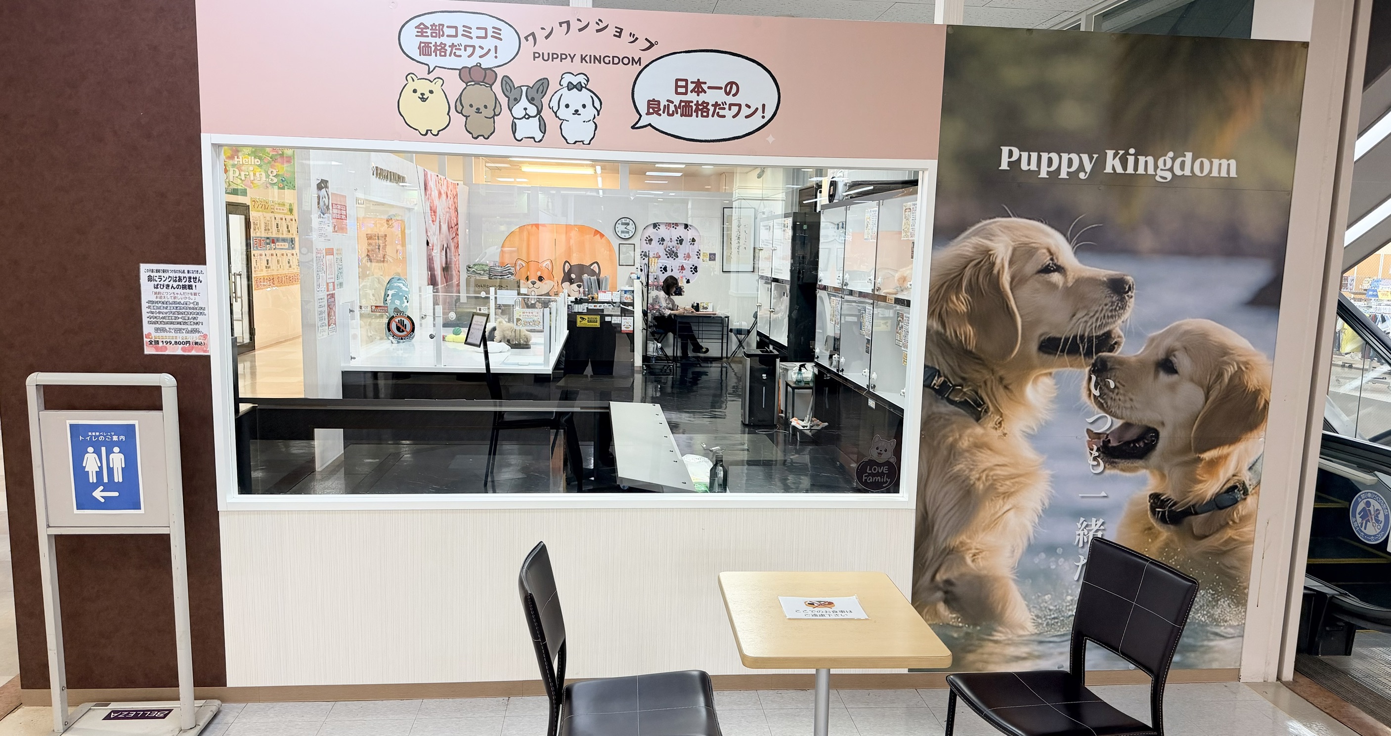 店内の様子 2
