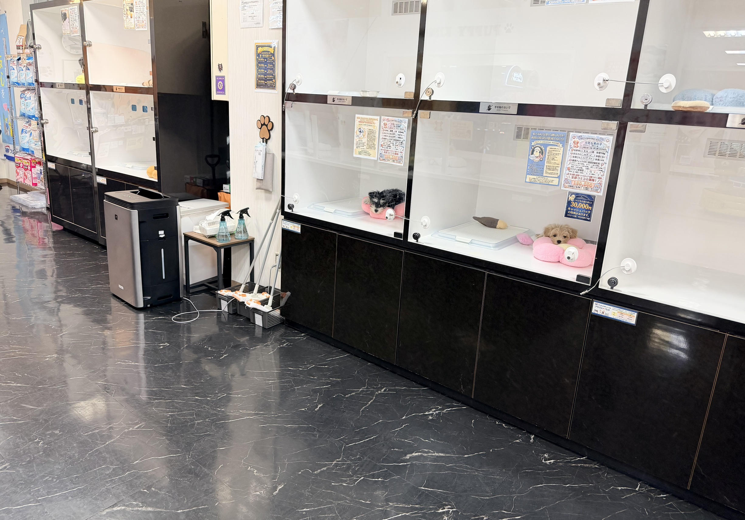 店内の様子 4