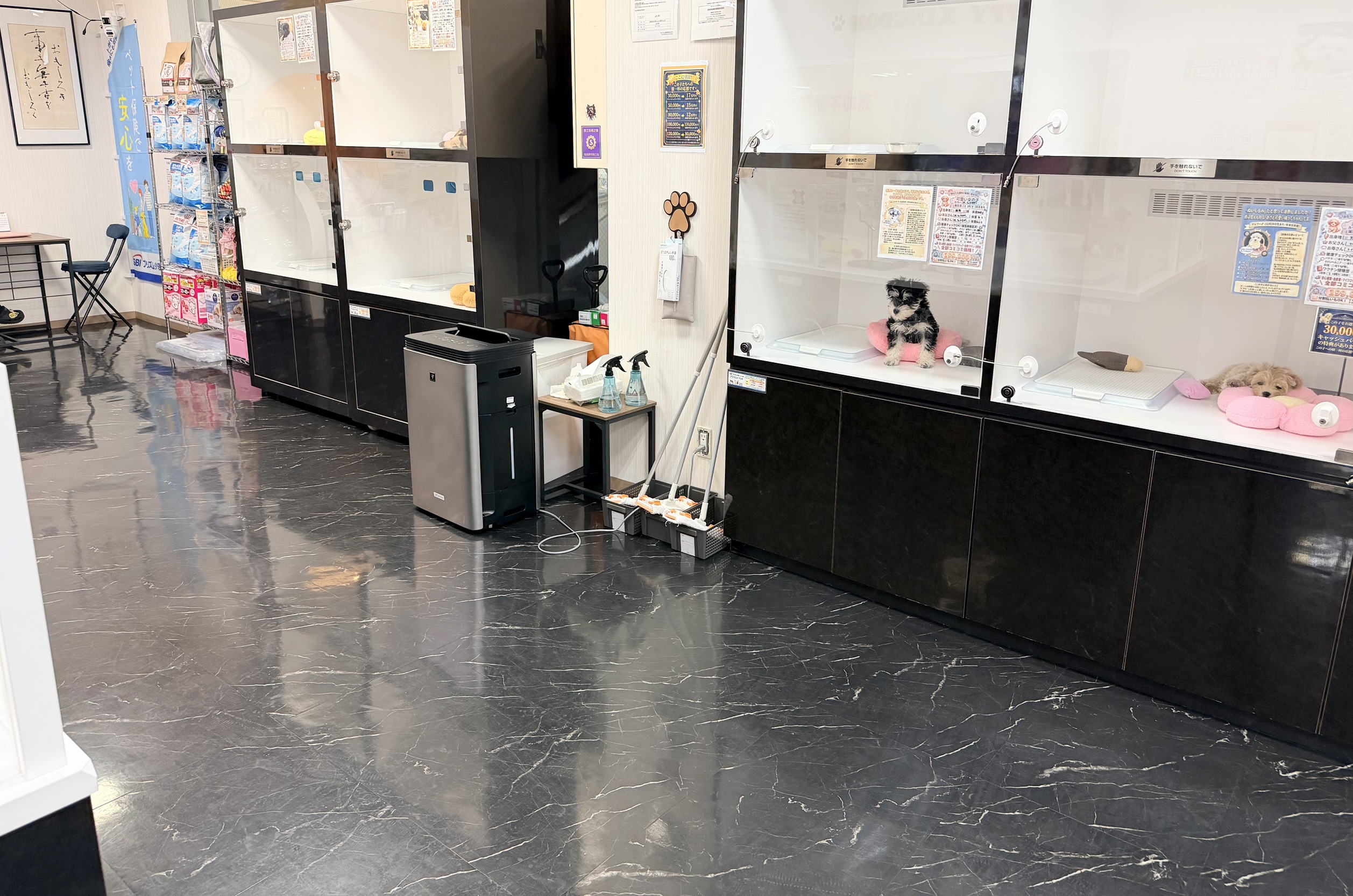 店内の様子 5