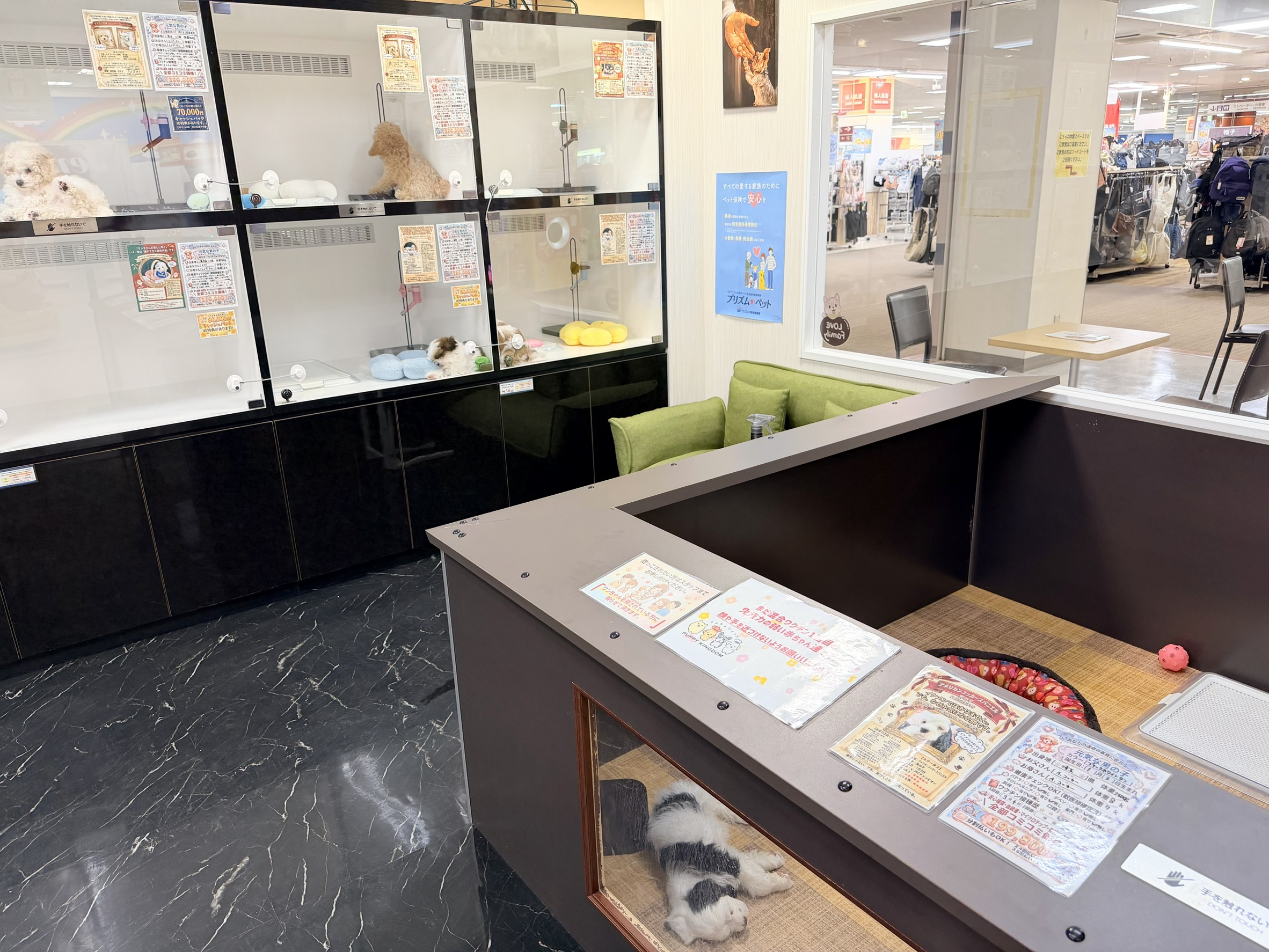 店内の様子 6