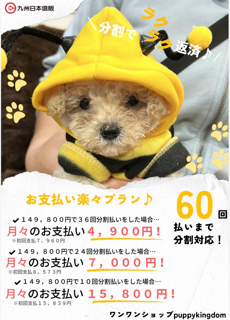 税込149,800円のお支払い楽々プラン(36回・24回・10回払いの月額例)