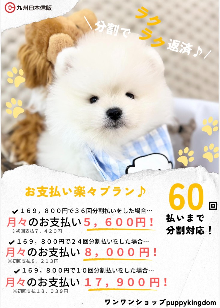 税込169,800円のお支払い楽々プラン(36回・24回・10回払いの月額例)